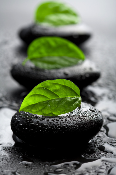 Piedras Zen y hojas con gotas de agua
 - Foto, Imagen