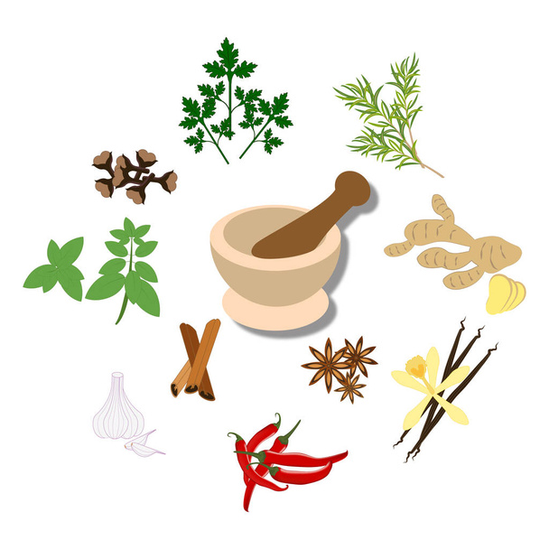 Spices and mortar illustration - Vector, Image