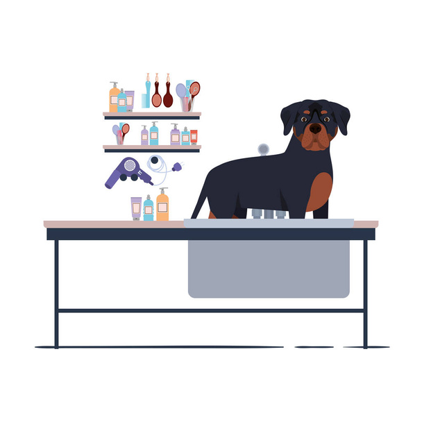 собака на парикмахерском столе с белым фоном
 - Вектор,изображение