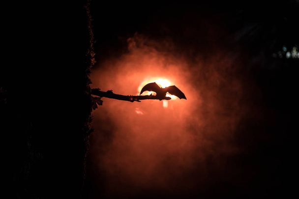 Horror Halloween koncepcji. Nietoperz rozprzestrzenia skrzydła siedzi na drzewie w mglistej nocy. - Zdjęcie, obraz