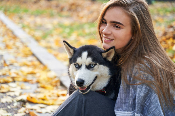 Young beautiful girl playing with her cute husky dog pet in autumn park covered with red and yellow fallen leaves - Foto, imagen