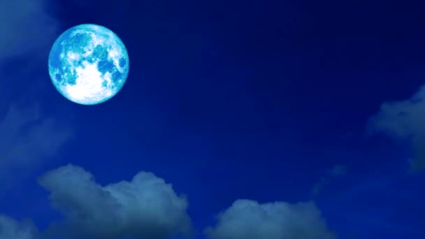 πλήρης συγκομιδή μπλε φεγγάρι κινείται πίσω σύννεφο στο σκοτεινό ουρανό της νύχτας - Πλάνα, βίντεο