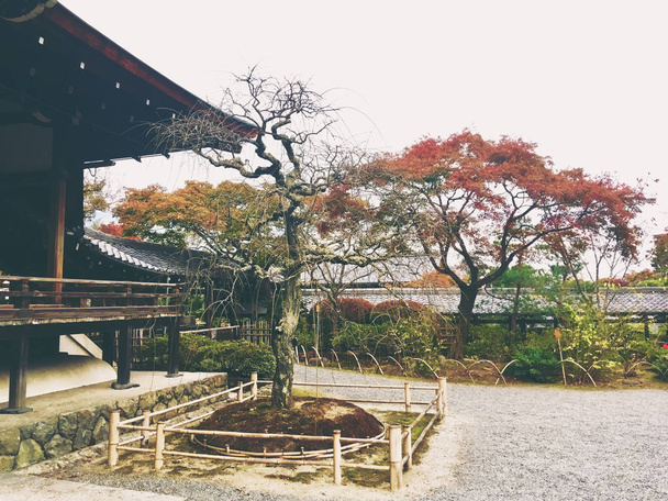 Decoração de jardim japonês no templo no outono
. - Foto, Imagem