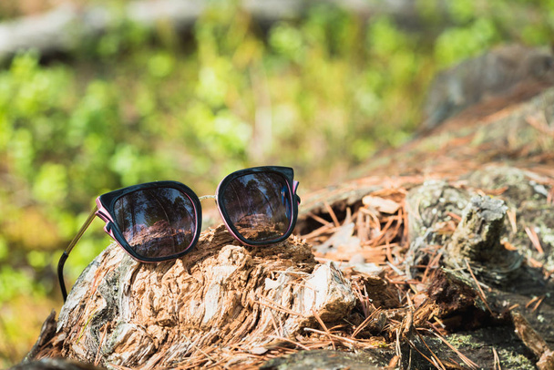 Tourist sunglasses with dark lenses on pine tree in the forest. - Photo, Image