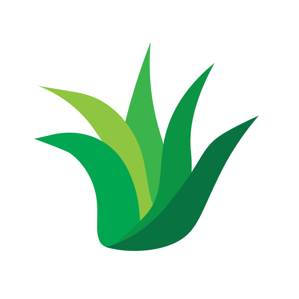 aloe vera bitki simgesi- vektör illüstrasyon - Vektör, Görsel