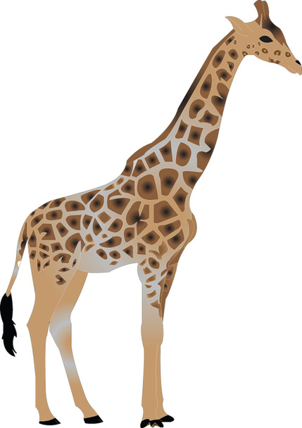 Giraffe illustration - Wektor, obraz