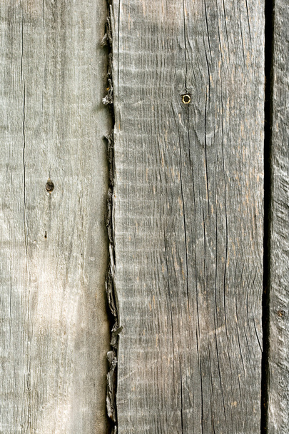Wooden bacground - Foto, Imagem
