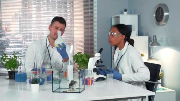Two multiracial research scientists discussing the experiment with smoking liquid and showing their satisfaction of the done work - Кадри, відео