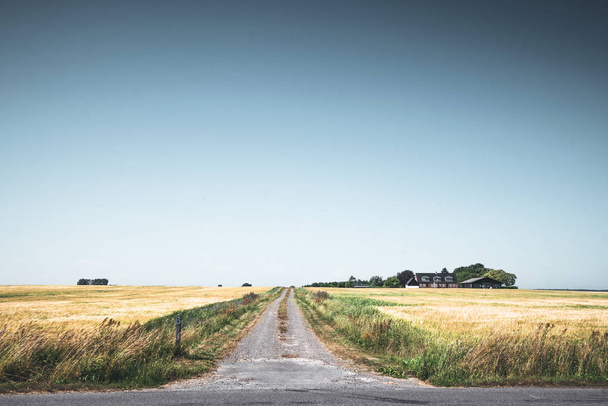 Landelijk landschap met een weg langs een kleine boerderij - Foto, afbeelding