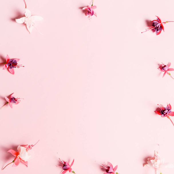ピンクの背景にお祝いの花のフクシアの組成物。間接費ビュー - 写真・画像