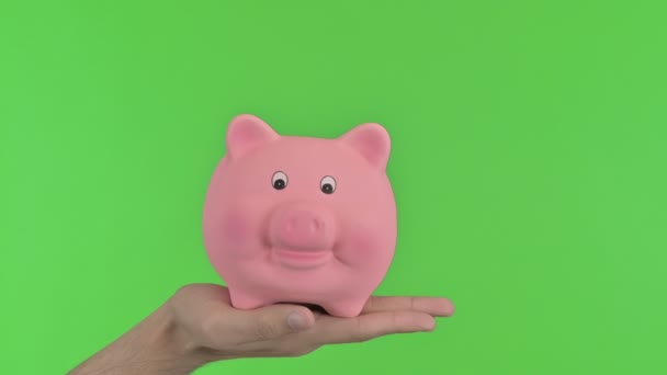 Geld in Sparschwein stecken, Chroma-Schlüssel - Filmmaterial, Video