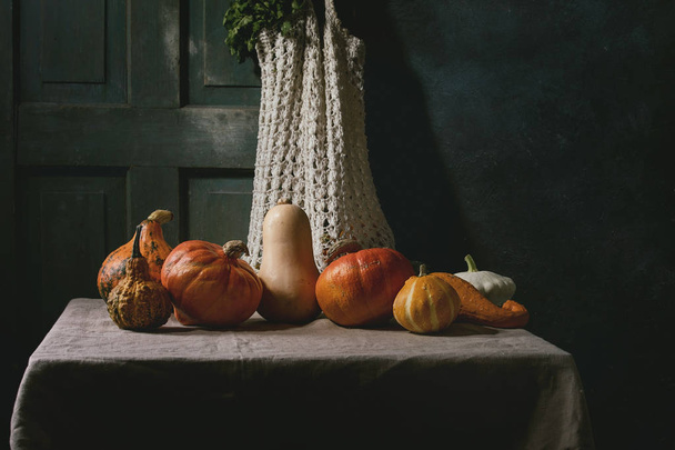 Variety of colorful pumpkins - Foto, immagini