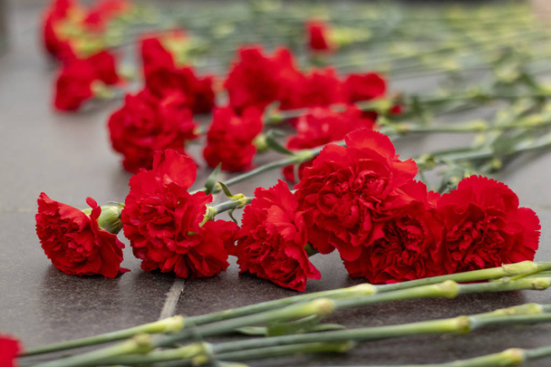 κόκκινα λουλούδια γαρίφαλα στο κατάστημα γρανίτη κοντά στο μνημείο - Φωτογραφία, εικόνα