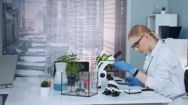 Smart female scientist in lab coat working with microscope in chemistry lab - Filmati, video