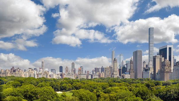 Manhattan skyline over Central Park, New York. - Fotoğraf, Görsel