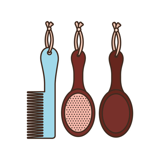 conjunto de peines y cepillos de pelo sobre fondo blanco
 - Vector, Imagen