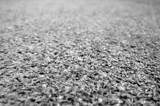 Sztuczna trawa z efektem rozmycia w czerni i bieli. - Zdjęcie, obraz