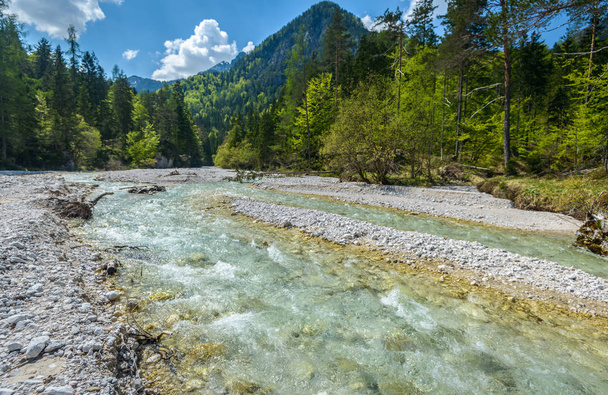 スロベニア、ヨーロッパの森、山、川と美しい風景の風景. - 写真・画像