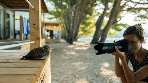 Ženský fotograf klečí, aby si vzal fotku holubice - Fotografie, Obrázek