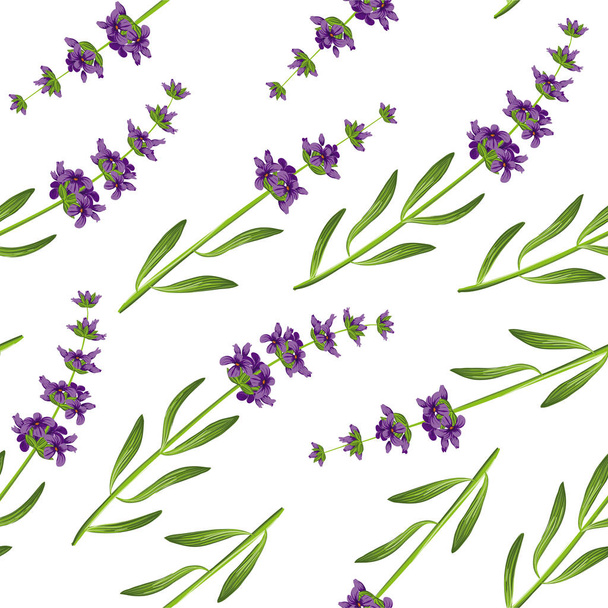 Seamless pattern with lavender. Vector illustration EPS 10 - Vetor, Imagem