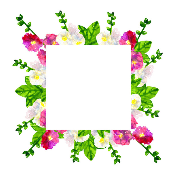 quadratische Vorlage. rosa violette Malve mit Blättern. weiße Malve. handgezeichnete Aquarell-Illustration. isoliert auf weißem Hintergrund. - Foto, Bild