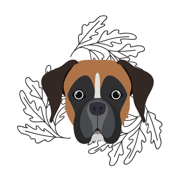 testa di simpatico cane pugile su sfondo bianco
 - Vettoriali, immagini