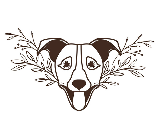 head of cute jack russell rerrier dog on white background - Vector, Image