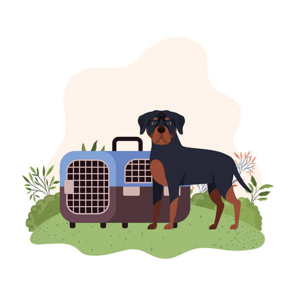 Transportbox für Hunde und Haustiere mit Hintergrundlandschaft - Vektor, Bild