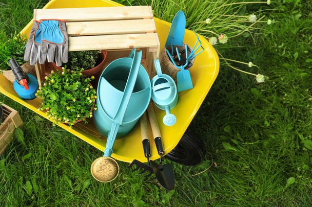 Composition with gardening tools on green grass, above view - Fotó, kép
