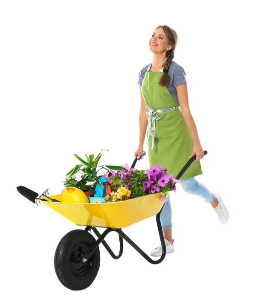 Female gardener with wheelbarrow and plants on white background - Photo, Image