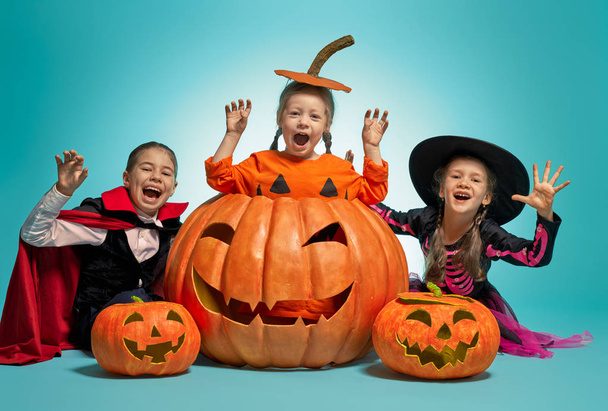 witch, Dracula and pumpkin on turquoise background. - Photo, Image
