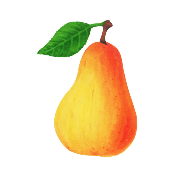 realistic yellow pear with leaf isolated on white background. Vector illustration - Vector, Image