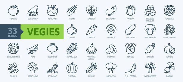 ベジタリアン、野菜、野菜 - 最小限の細いラインウェブアイコンセット。トマト、キュウリ、コルラビ、カリフラワー、パティパンスカッシュ、フィドルヘッド、ダイコンなどのシンプルなベクトルアイコンが付属。アウトライン アイコン コレクション.  - ベクター画像