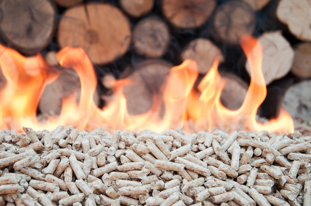 granulki biomasa - Zdjęcie, obraz