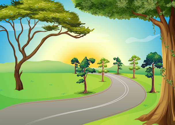 A long winding road at the forest - Vector, Image