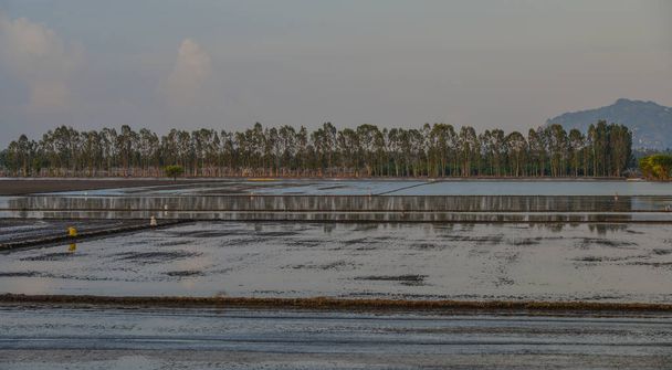 Campo vuoto al tramonto in Vietnam
 - Foto, immagini