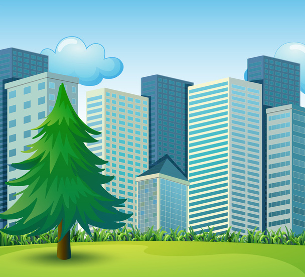 A big pine tree growing near the tall buildings - Vector, Image