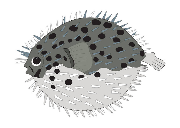 Fugu Fisch mit Stacheln Karikatur kindischen Charakter - Vektor, Bild