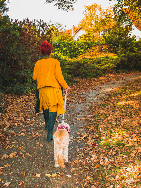 Kobieta z psem spacery w jesiennym parku. Wiek, opieka nad zwierzętami. - Zdjęcie, obraz