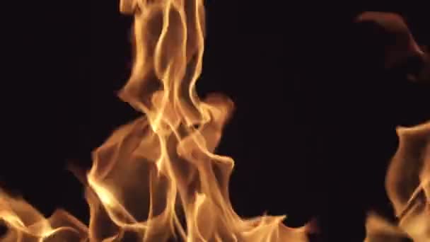 Alev yangın video görüntüleri, çok güzel yangın - Video, Çekim