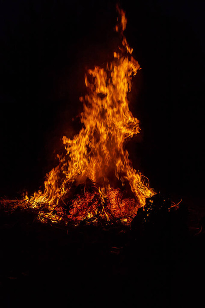 big bonfire, grass fire burn. Selective focus. - Fotoğraf, Görsel