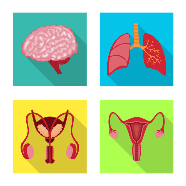 Vector illustration of human and health icon. Set of human and scientific stock symbol for web. - Vektör, Görsel