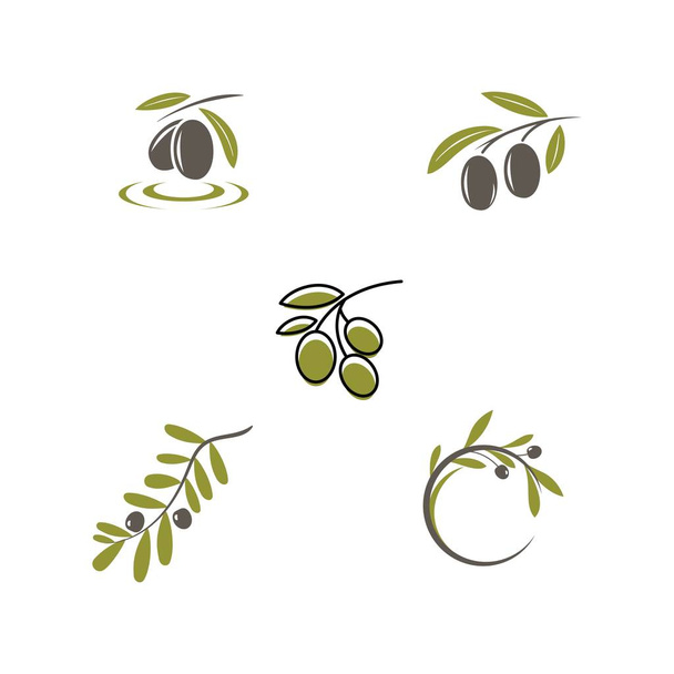 Ícone de oliva ilustração vetorial
 - Vetor, Imagem