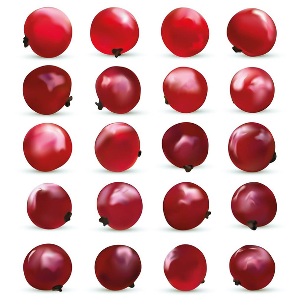 3D realistic berry isolated on white background. Red currant berry close up. Collection of single red summer berries. Vector illustration. - Vector, Image