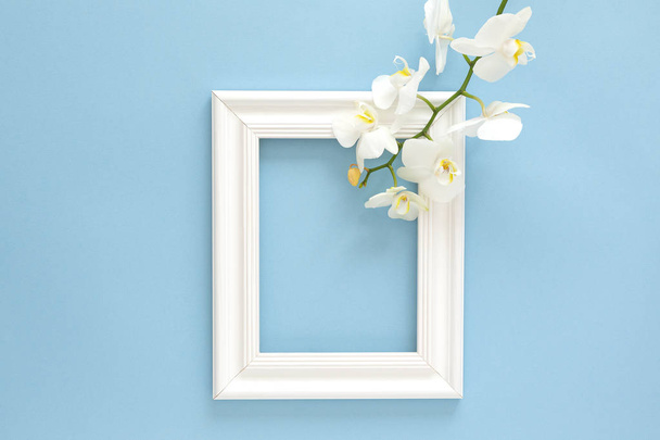 White photo frame with white orchids. Beautiful White Phalaenopsis orchid flowers, wooden white photo frame on blue background flat lay.  Frame for text. Women's Day. Flower Card.   - Photo, image
