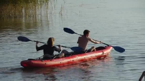 Zwei Personen im Kajak segeln vom Ufer aus - Filmmaterial, Video