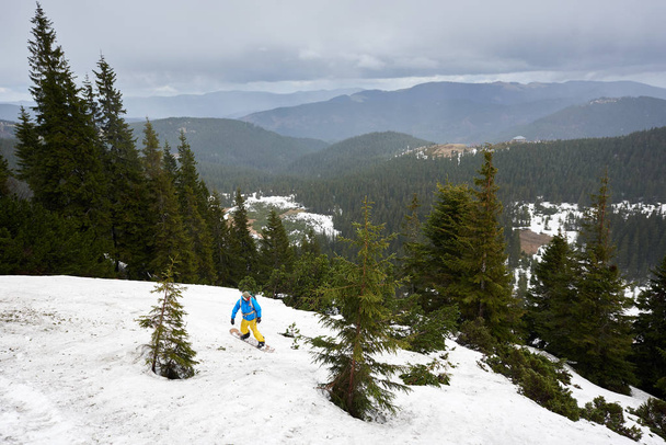 Panoramatický pohled na zimní zalesněné hory pod šedou oblohou a samce freeriding na snowboardu na popředí u zelených jedlí - Fotografie, Obrázek