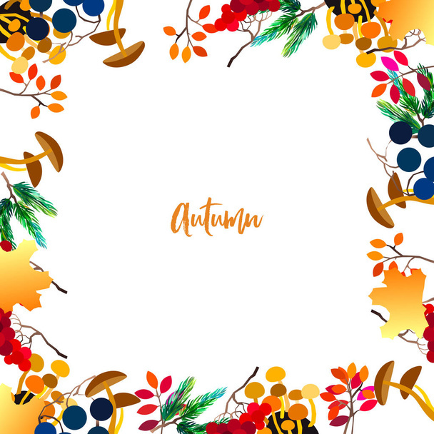 Autumn vector frame with berries, acorns, pine cone, mushrooms, branches and leaves. - Vektor, Bild
