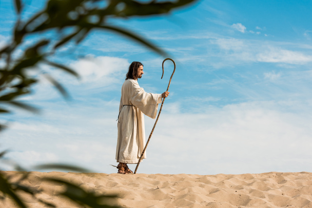 selektivní zaměření člověka držící dřevěnou hůl v poušti  - Fotografie, Obrázek
