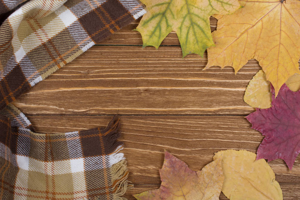 Útulná šála a podzimní listí - Fotografie, Obrázek